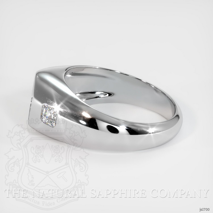 14K White Gold Men's Ring Setting