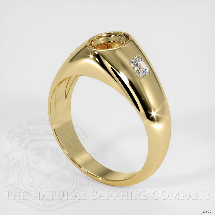 14K Yellow Gold Men's Ring Setting