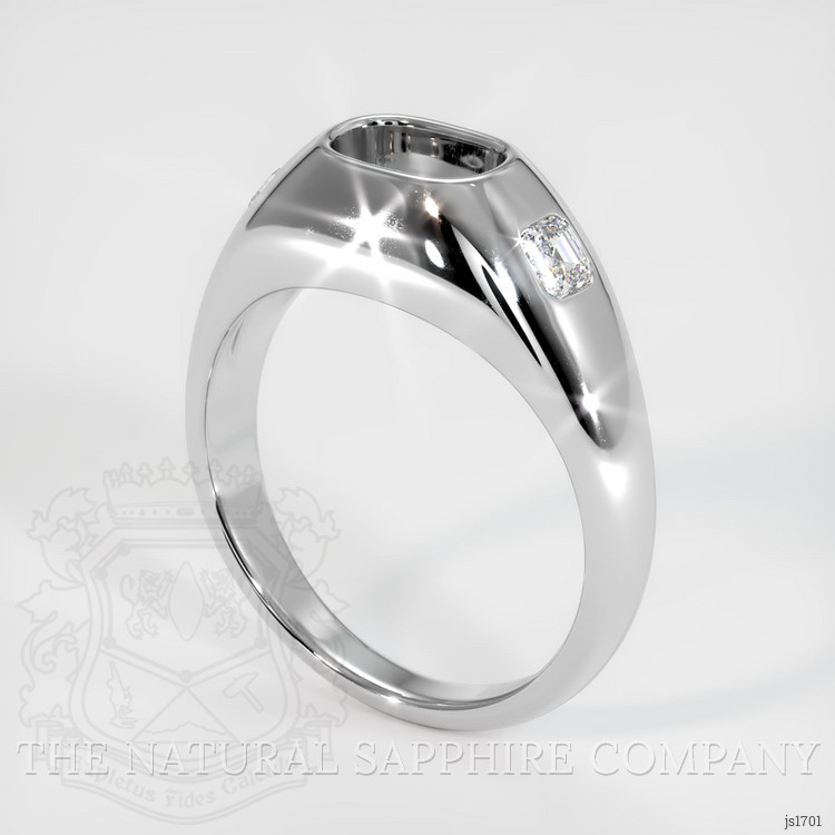18K White Gold Men's Ring Setting