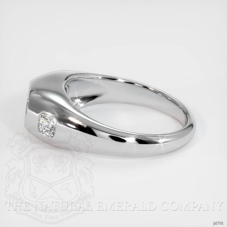 18K White Gold Men's Ring Setting