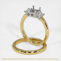 18K White & Yellow Three Stone Ring Setting Image