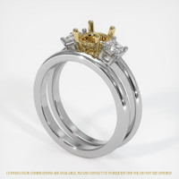 14K Yellow & White Three Stone Ring Setting Video