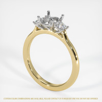 14K White & Yellow Three Stone Ring Setting Video