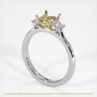 14K Yellow & White Three Stone Ring Setting Video