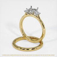 18K White & Yellow Three Stone Ring Setting Image