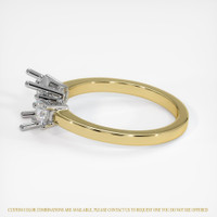 18K White & Yellow Three Stone Ring Setting Image