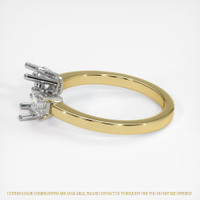 18K White & Yellow Three Stone Ring Setting Image