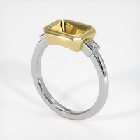 18K Yellow & White Three Stone Ring Setting Video