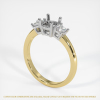 18K White & Yellow Three Stone Ring Setting Video