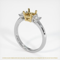 14K Yellow & White Three Stone Ring Setting Video