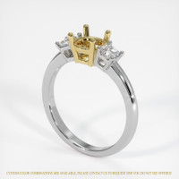 18K Yellow & White Three Stone Ring Setting Video