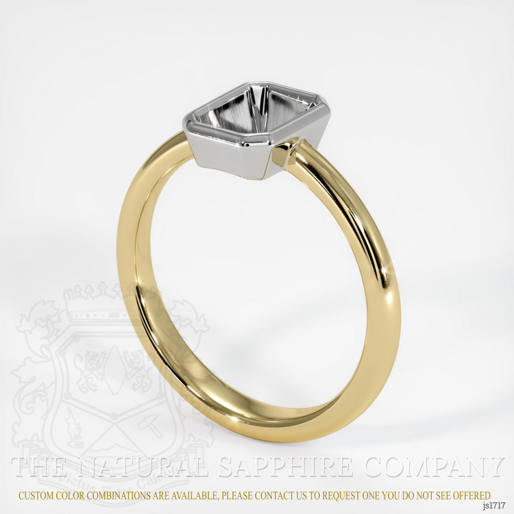 14K White & Yellow Men's Ring Setting