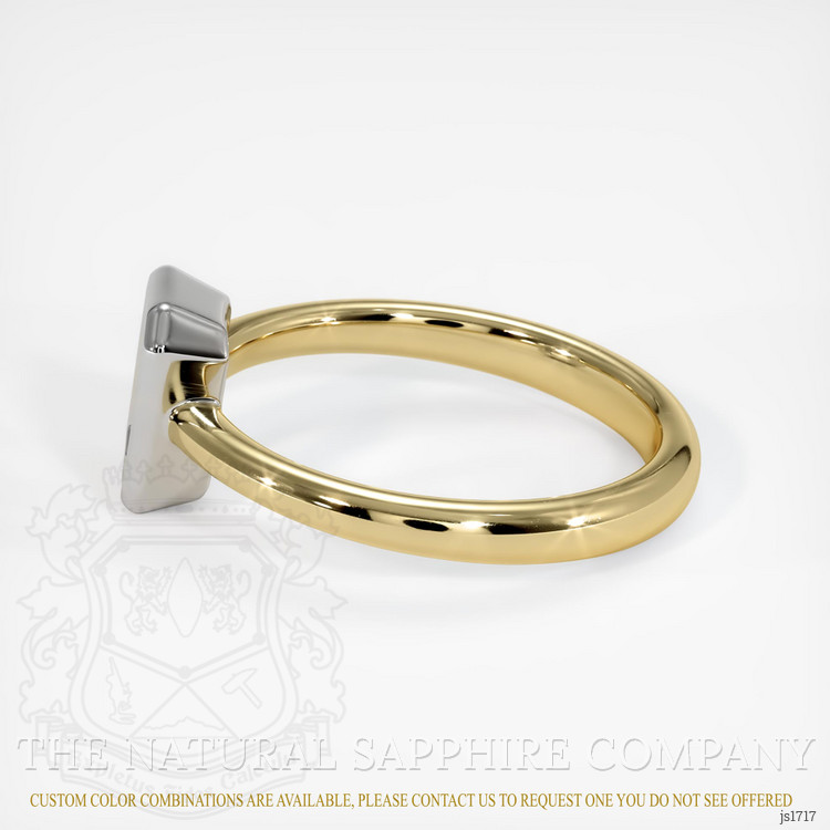 14K White & Yellow Men's Ring Setting