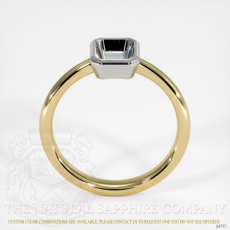 14K White & Yellow Men's Ring Setting