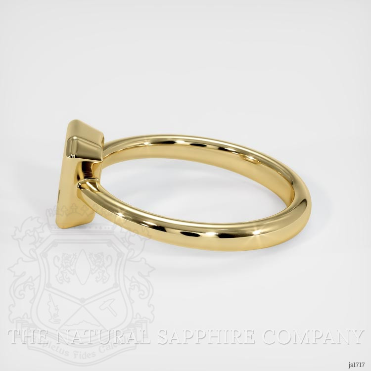14K Yellow Gold Men's Ring Setting