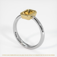 14K Yellow & White Men's Ring Setting Video