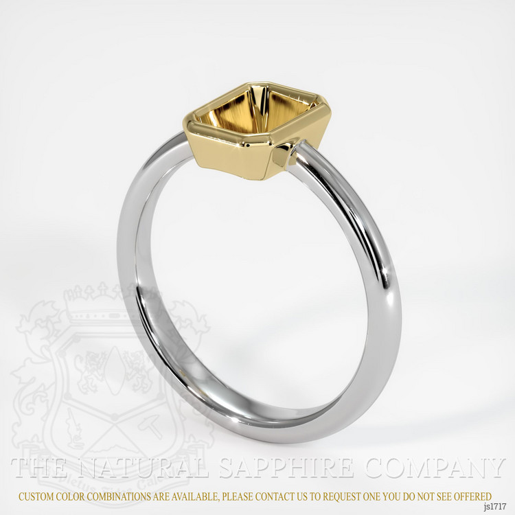 14K Yellow & White Men's Ring Setting