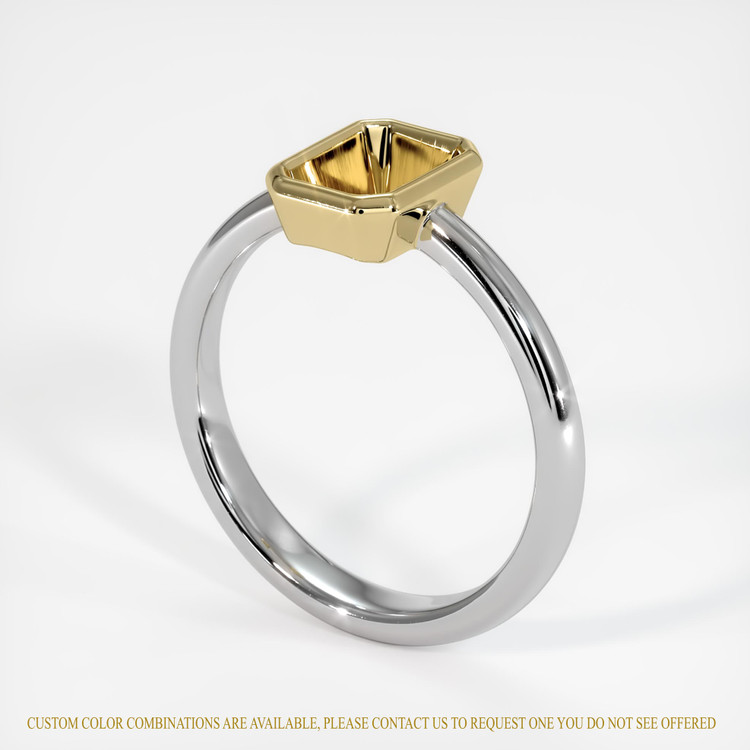 14K Yellow & White Men's Ring Setting