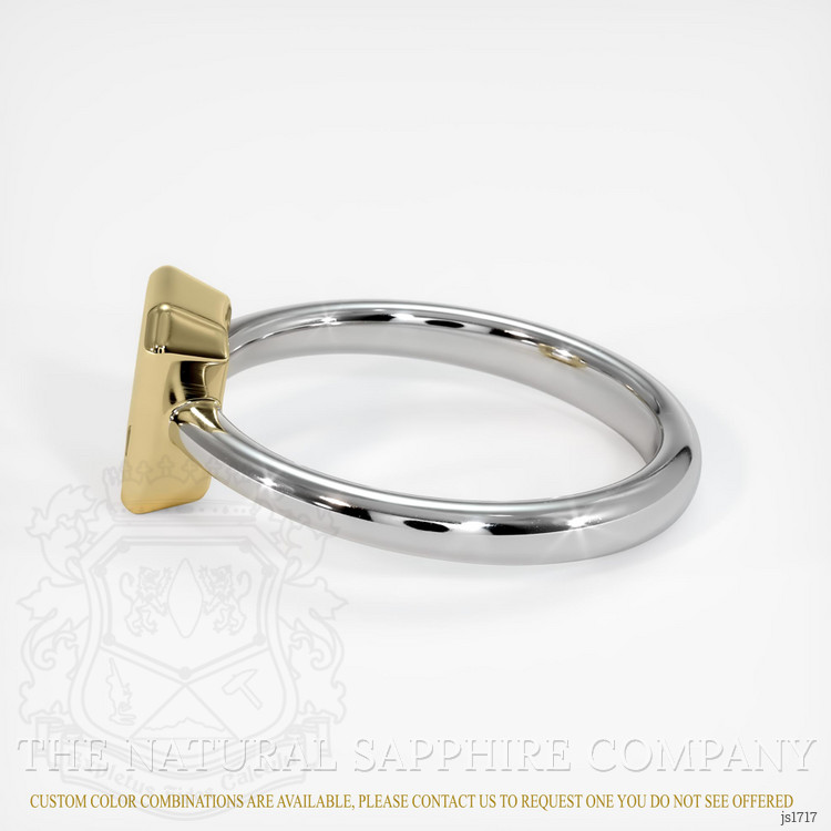 14K Yellow & White Men's Ring Setting
