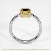 14K Yellow & White Men's Ring Setting Image