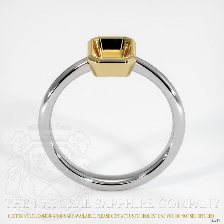 14K Yellow & White Men's Ring Setting