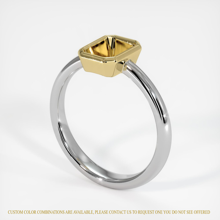 18K Yellow & White Men's Ring Setting