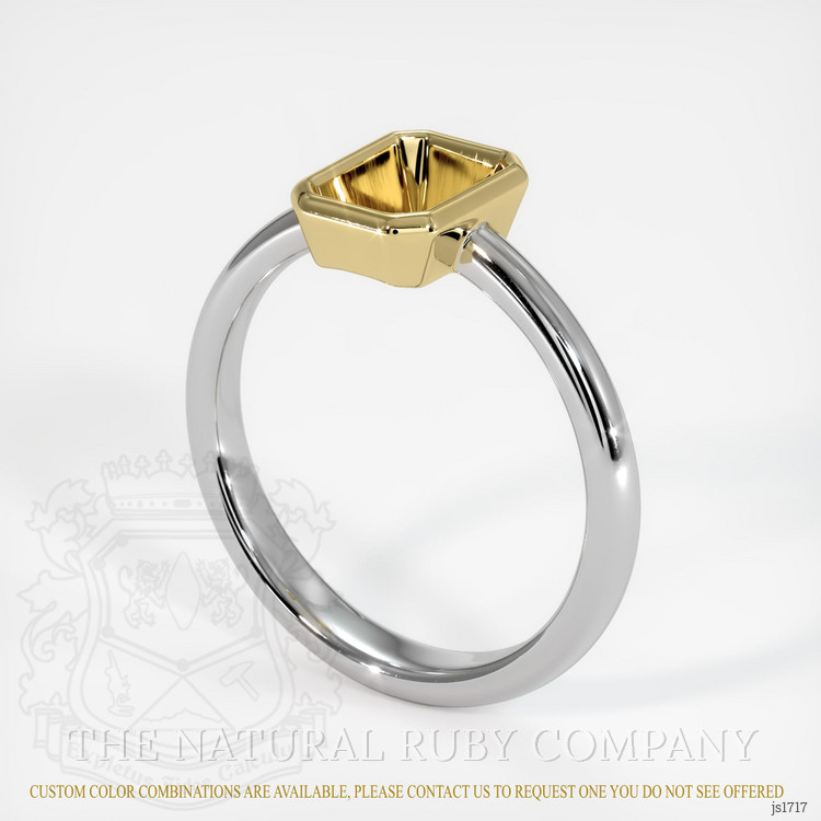 18K Yellow & White Men's Ring Setting