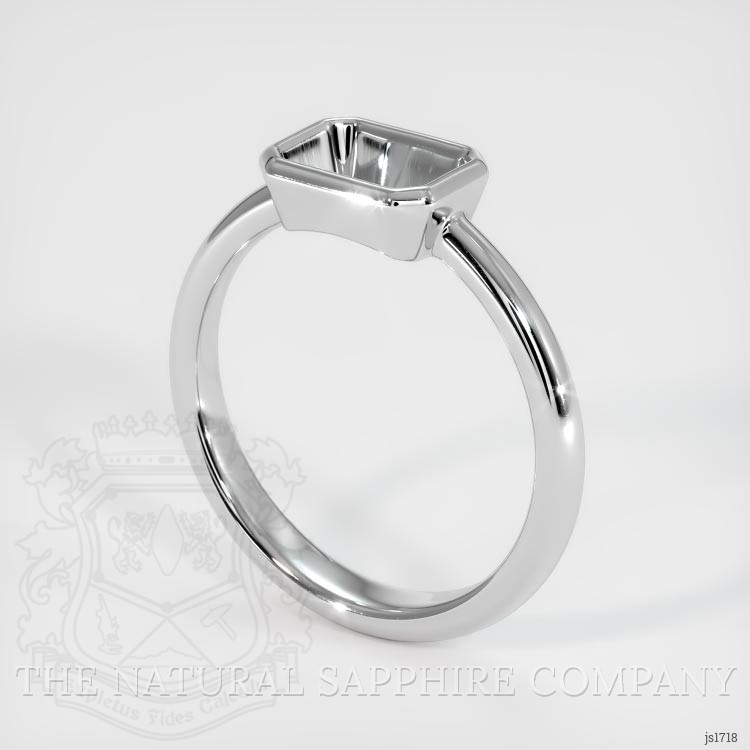 14K White Gold Men's Ring Setting