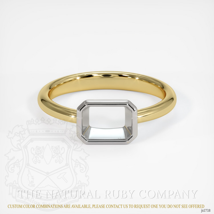 14K White & Yellow Men's Ring Setting