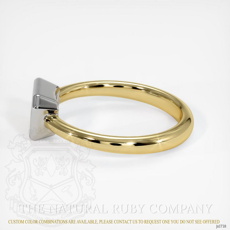14K White & Yellow Men's Ring Setting