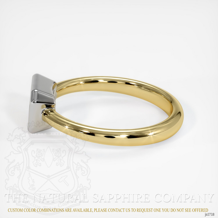 14K White & Yellow Men's Ring Setting