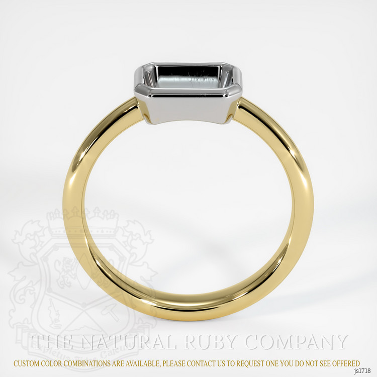 14K White & Yellow Men's Ring Setting