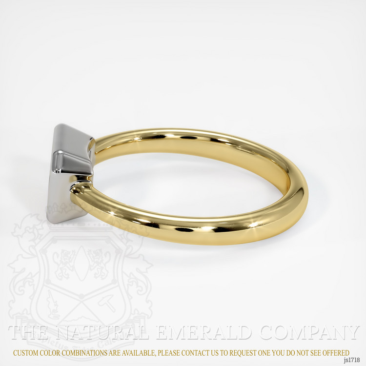 18K White & Yellow Men's Ring Setting