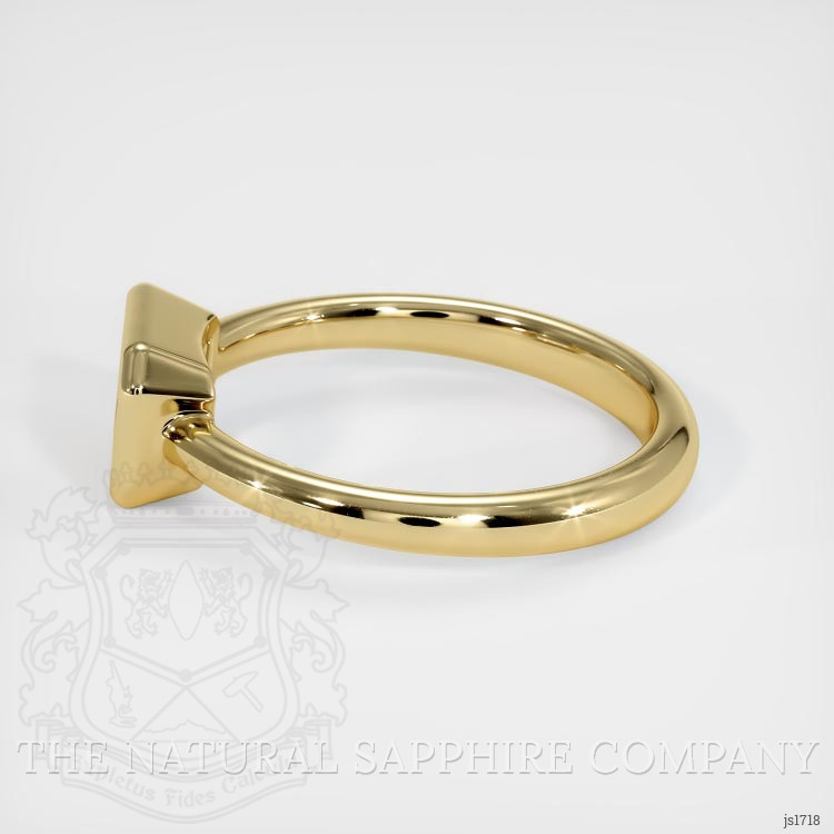 10K Yellow Gold Men's Ring Setting