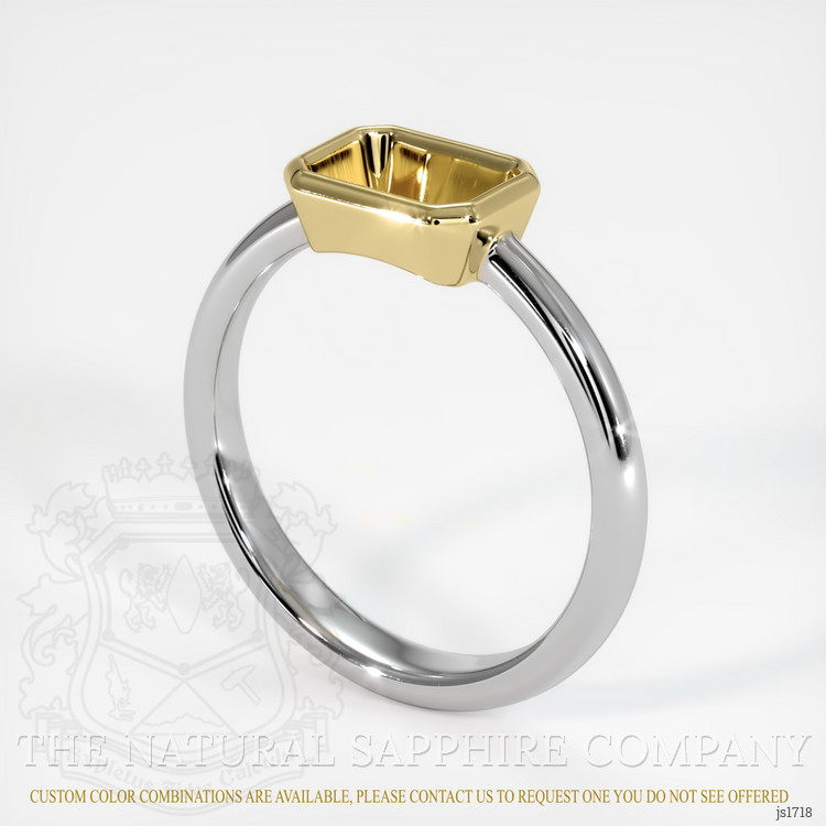 14K Yellow & White Men's Ring Setting