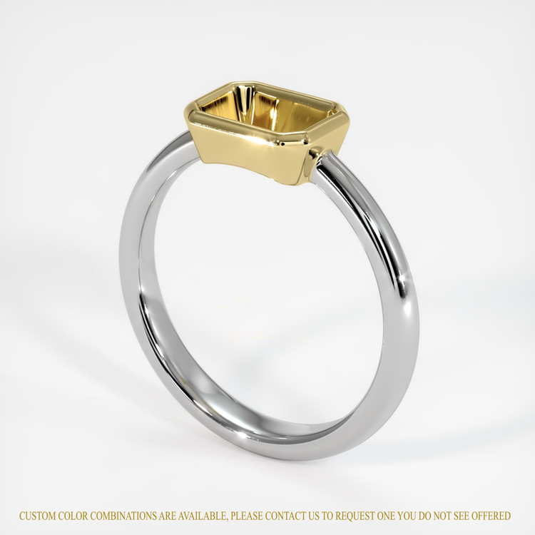 14K Yellow & White Men's Ring Setting