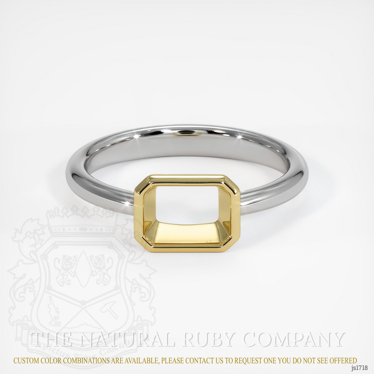 14K Yellow & White Men's Ring Setting