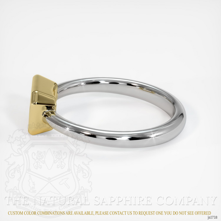 14K Yellow & White Men's Ring Setting