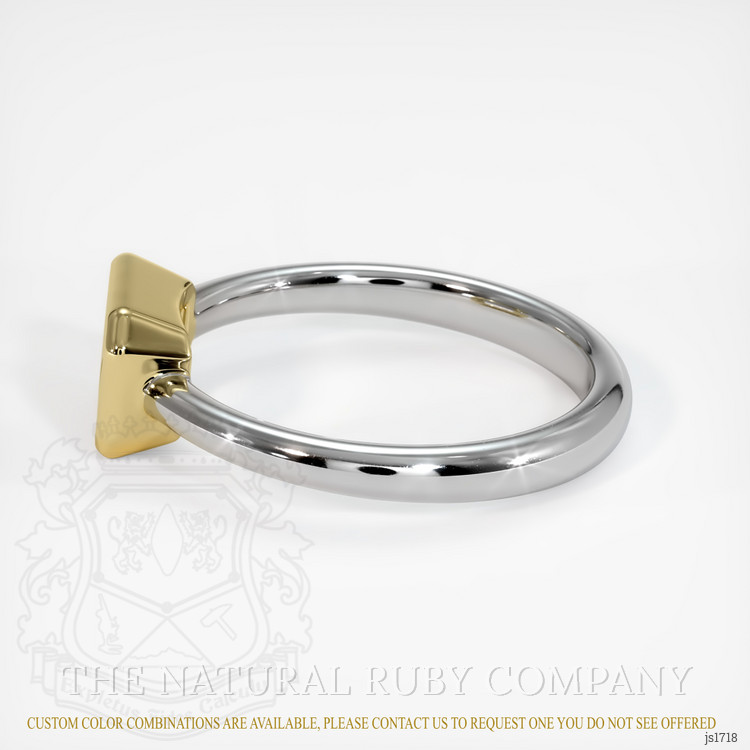 14K Yellow & White Men's Ring Setting