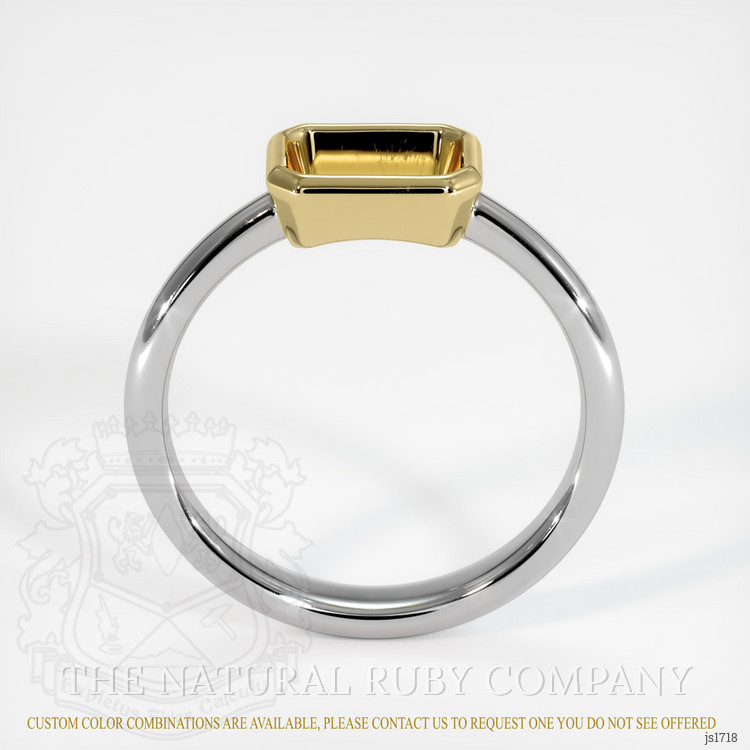 14K Yellow & White Men's Ring Setting