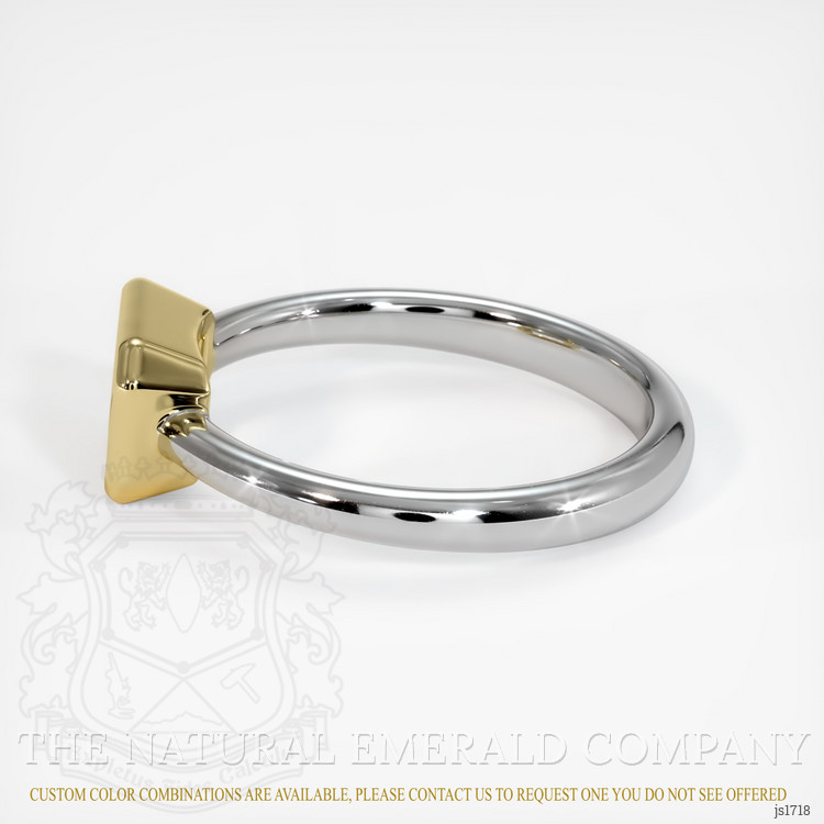 18K Yellow & White Men's Ring Setting