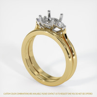 14K White & Yellow Three Stone Ring Setting Video