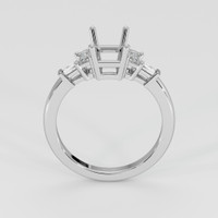 14K White Gold Accent Stones Ring Setting Image