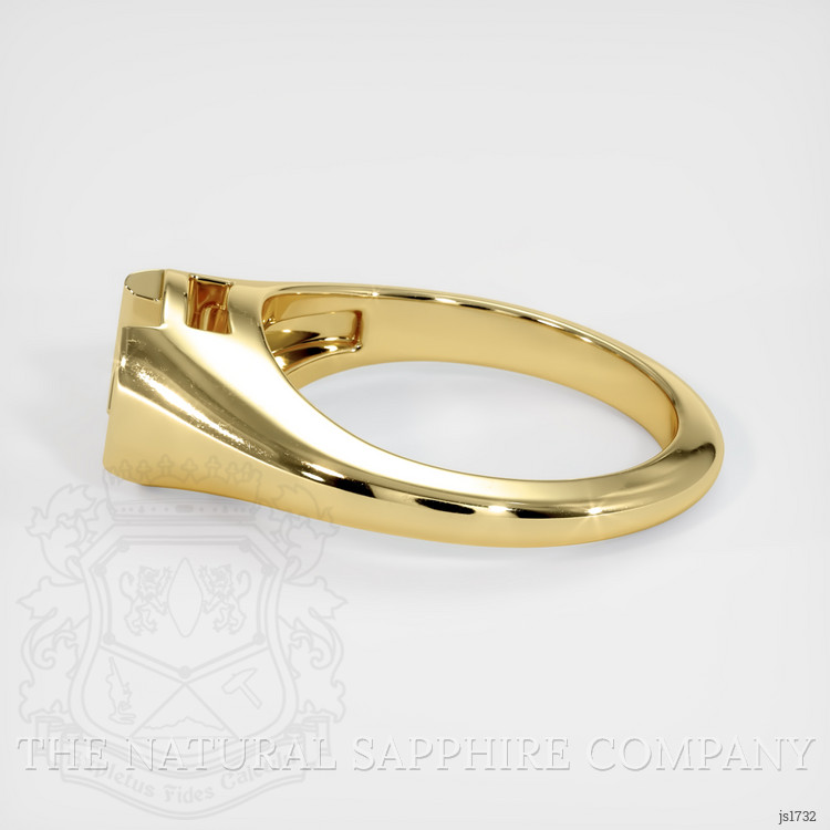 18K Yellow Gold Men's Ring Setting