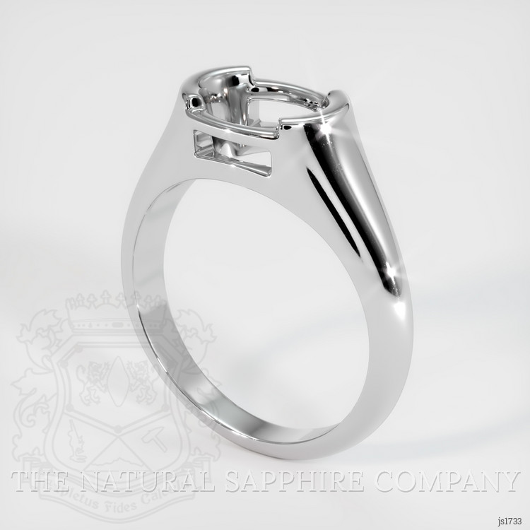 10K White Gold Men's Ring Setting