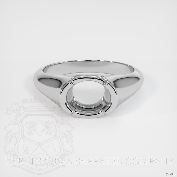 10K White Gold Men's Ring Setting