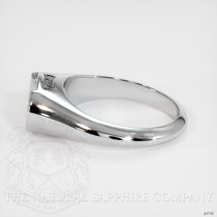10K White Gold Men's Ring Setting