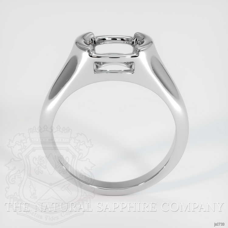 10K White Gold Men's Ring Setting