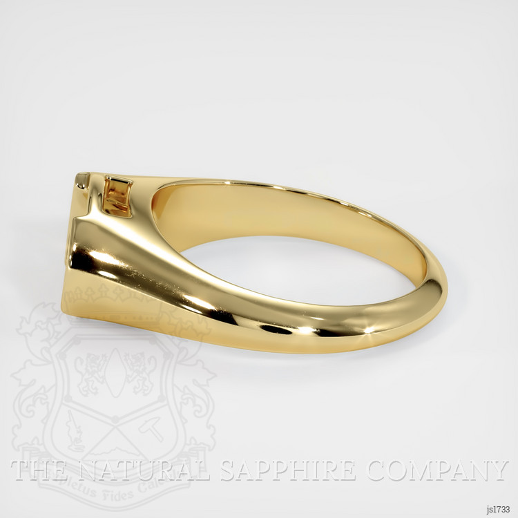 14K Yellow Gold Men's Ring Setting