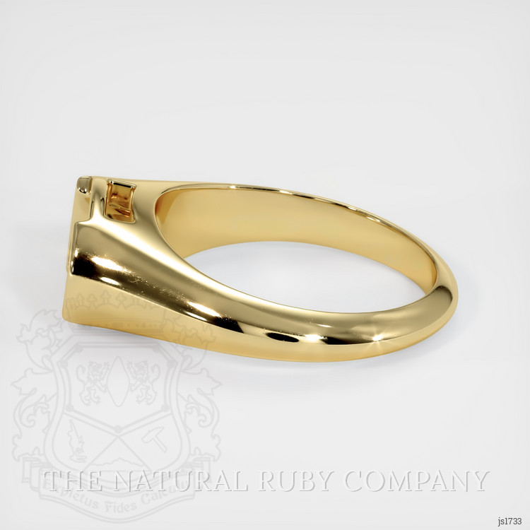14K Yellow Gold Men's Ring Setting